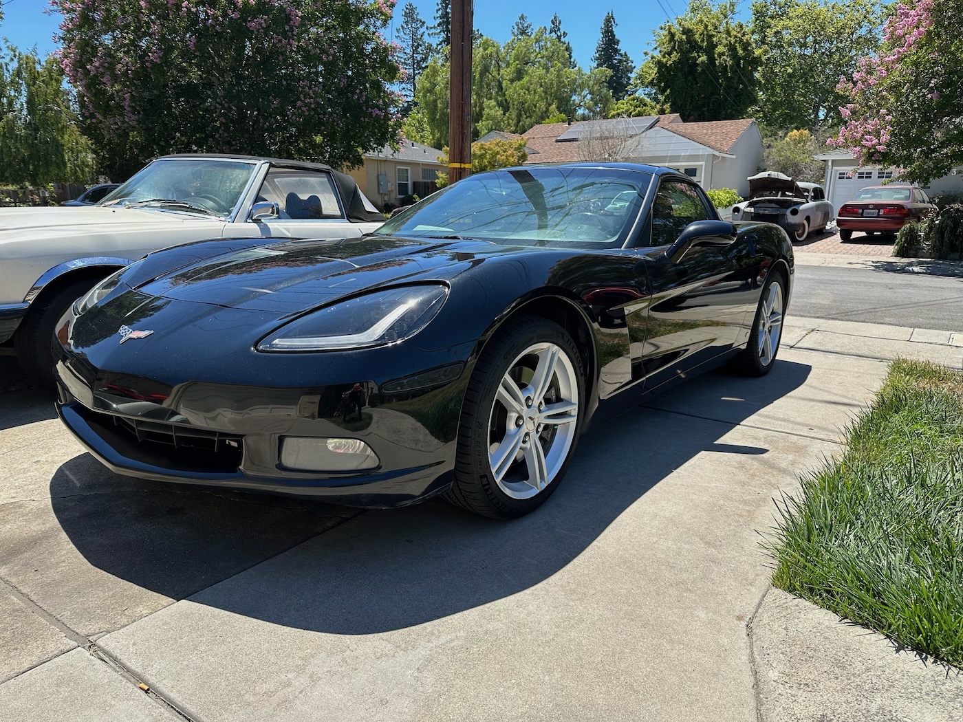 Vette